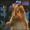 buconova's Avatar